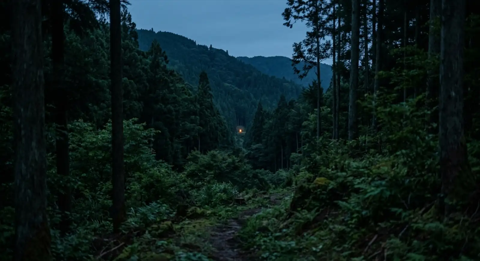 夜の山道